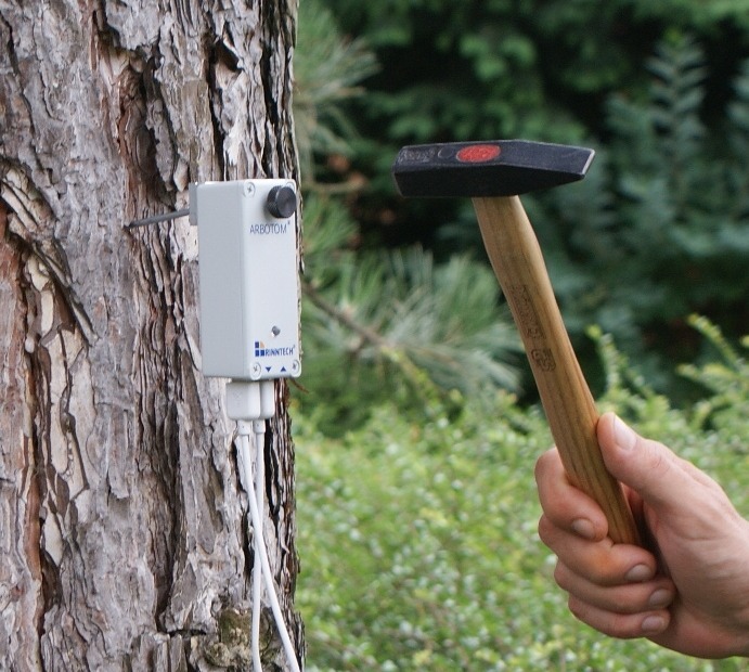 Tomography ARBOTOM® Series 6 sensor installation