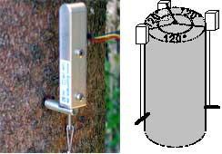 DV Vertical Dendrometer installed