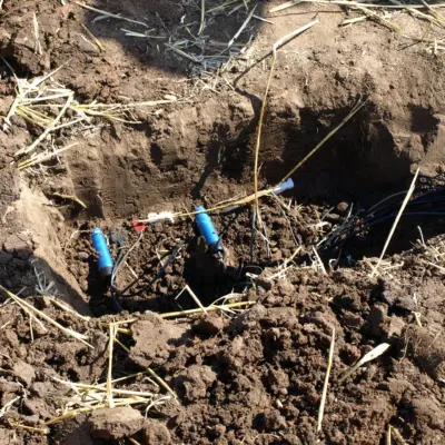 Soil