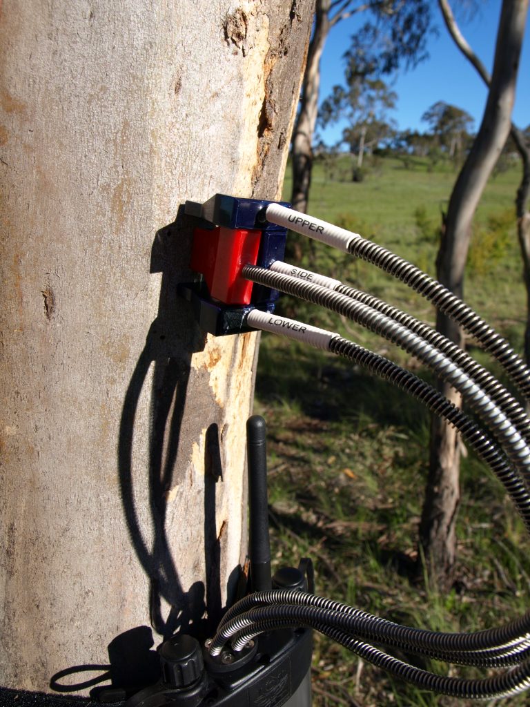 HFD8 Sap Flow Needles Installed