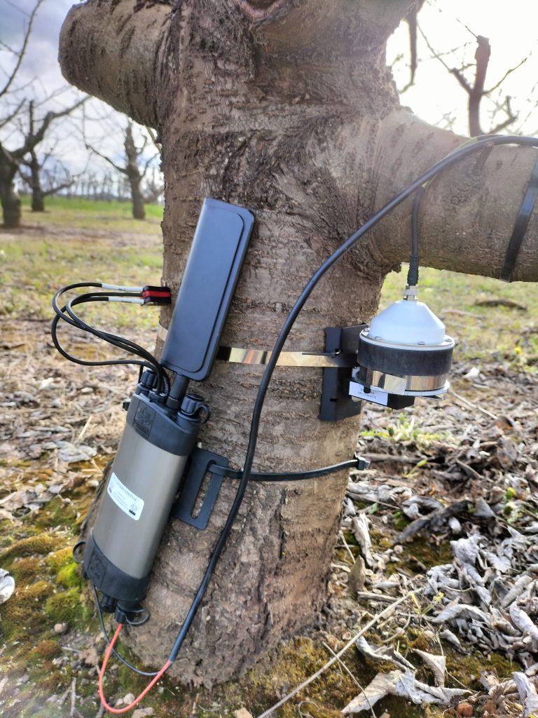 SFM1C Installed with Dendrometer in Orchard