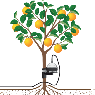 DBS60 Band Dendrometer