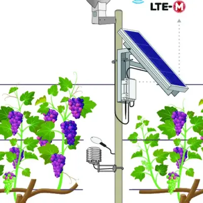 Plant Monitoring Station 1 (SNiP-PMS)