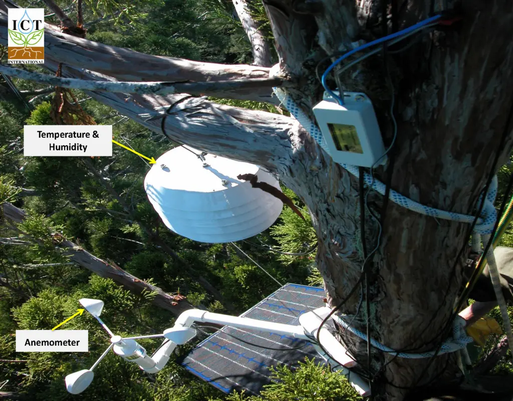 HRM30 Sap Flow sensor and microclimate sensors installed in Redwood